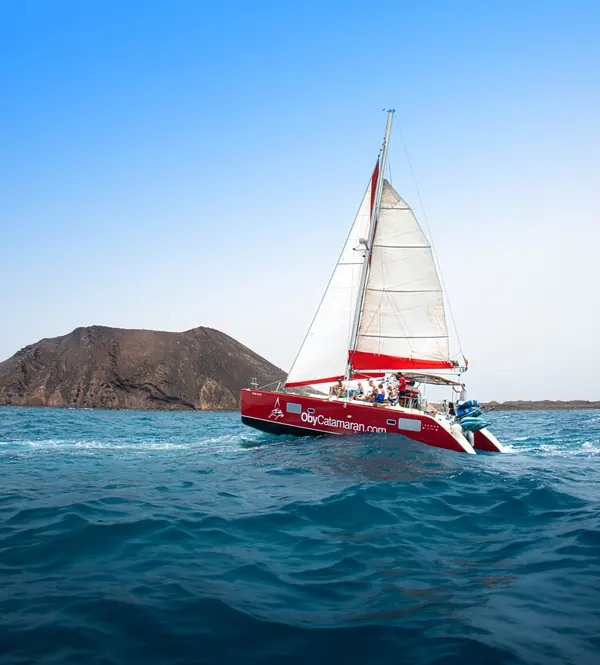 Excursión en el catamarán Oby Catamaran rumbo a la Isla de Lobos